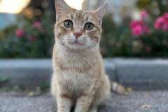 WhatsApp-Image-2026-01-22-at-15.16.06-2