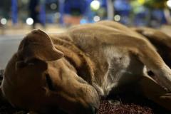 WhatsApp-Image-2026-01-22-at-15.16.06-3