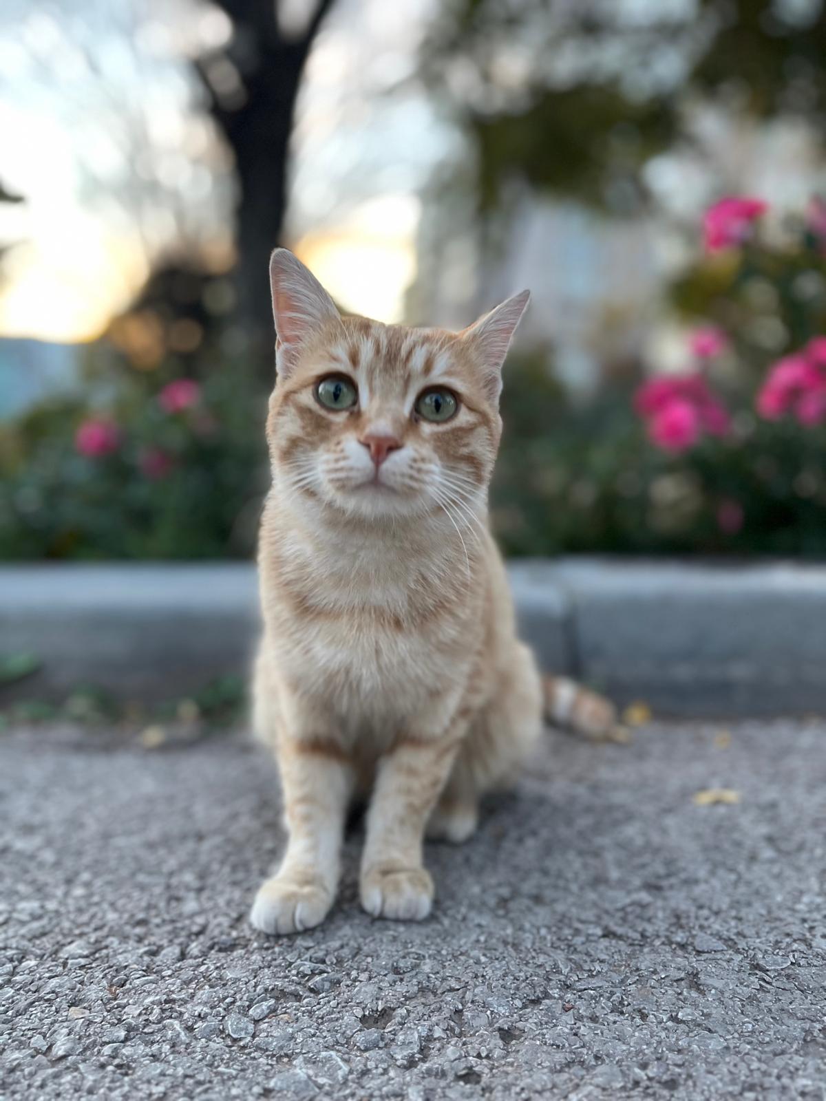 whatsapp image 2026 01 22 at 15.16.06 (2)